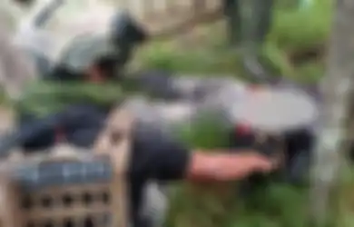 Satgas Cartenz yang Melumpuhkan, Ali Kogoya Bawa Senjata Api dari Undius Kogoya, Begini Detik-detik Anggota KKB Papua Tewas Ditembak Mati Aparat Keamanan