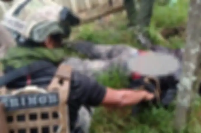 Anggota KKB Papua Ali Kogoya tewas ditembak Satgas Damai Cartenz di Ilaga