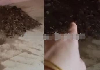 Bak Bangkai Ditutupi Akhirnya Tercium Juga, 15 Tahun Istri Menghilang Tidak Ada Rasa Khawatir, Suami Ini Malah Bangun Rumah 3 Lantai, Kebenaran yang Dipendam Tetap Terkuak!