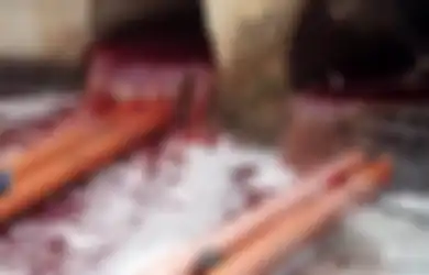 Rekaman Menakutkan, Sungai di Israel Mendadak Berubah Jadi Aliran Darah Merah 'Seperti Wabah Alkitabiah tentang Mesir,' Apa yang Terjadi?