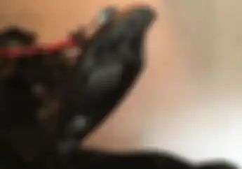 Jok Yamaha NMAX Terangkat Otomatis Ketika Dibuka Cukup Modal Obeng