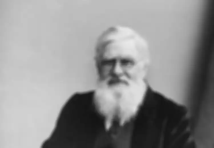 Mencari di mana Persisnya Rumah Alfred Russel Wallace di Ternate