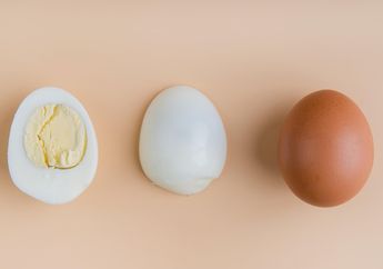 Mulai Sekarang Ubah Semua Menu Makanan di Meja dengan Olahan Telur Setiap Hari, Dijamin Kesehatan Tubuh Anda Berubah Drastis