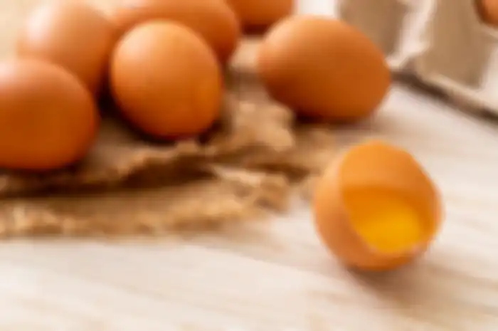Telur