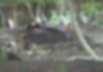 Demak Heboh! Wanita Tidur Di Atas Kuburan, Gak Terima Anak Jadi Korban Tabrak Lari