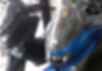 Bukan Putih, Yamaha NMAX Warna Ini Paling Laris di Surabaya, Indennya Lumayan Lama