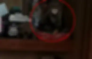 Kerap Mendengar Jeritan Aneh dari Kamar Anggota Keluarganya yang Sudah Meninggal, Keluarga Ini Terkejut Menemukan Kebenarannya Tak Seseram yang Dibayangkan