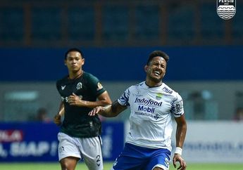 Robert Alberts Ungkap Cara Persib Juara Liga 1 Tanpa Andalkan Wander Luiz yang Seret Gol