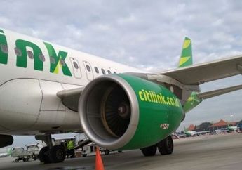 'Maklum, Saya Orang Desa' Ucap Kades Blora yang Buka Pintu Darurat Pesawat Sebelum Lepas Landas hingga Buat Penerbangan Terpaksa Dibatalkan