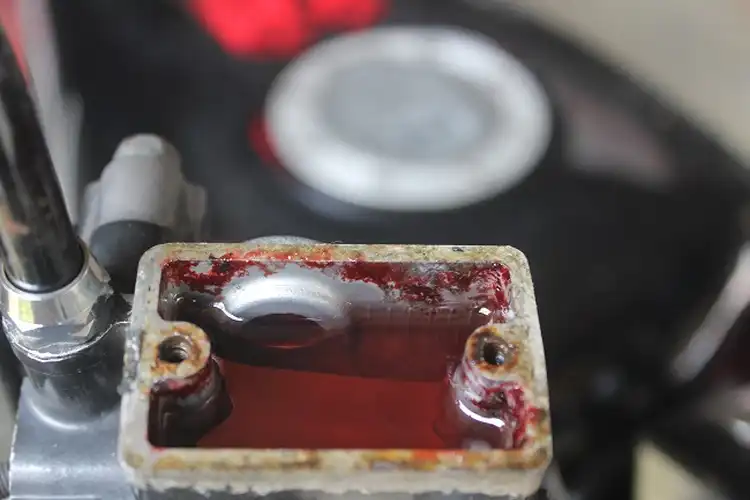 Yakin Nih, Minyak Goreng Bisa Jadi Pengganti Minyak Rem di Motor?