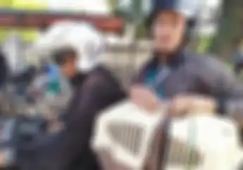 Kasihan, Kucing Stres Gara-gara Kepanasan Dibawa Pemotor Mudik, Sampai Gak Mau Makan