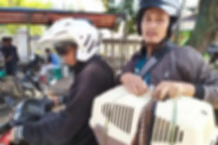 Pemudik bermotor membawa tiga kucing peliharaannya