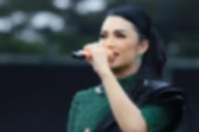 Krisdayanti gagal mempertahankan kursinya di DPR
