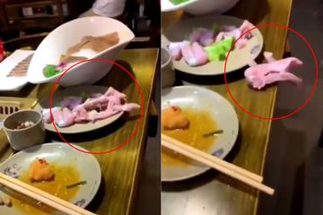 Wanita Ini Menjerit Histeris Saat Daging yang Mau Dimakan Kabur Dari Meja! Padahal Sudah Dipotong dan Dikuliti