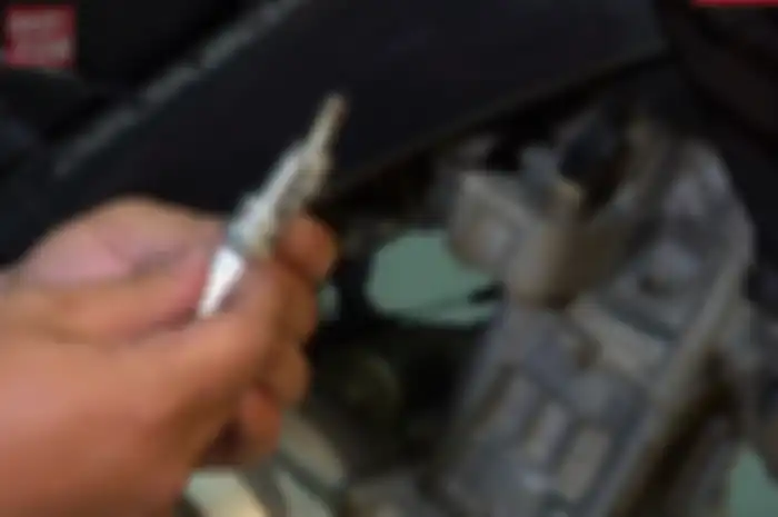 Busi motor.