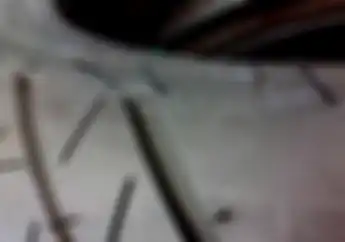 Ada yang Tahu Fungsi Karet Tipis Seperti Rambut di Ban Baru?