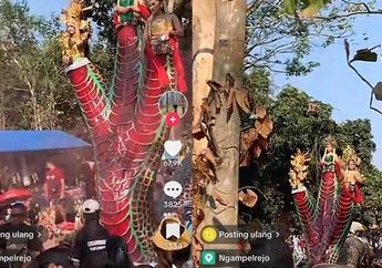 Viral, Bak di Sinetron Ilahi, Peserta Karnaval Ini Bikin Heboh Usai Tampil Pakai Kostum Siluman Ular Berkepala 3: Langit Bumi Bersaksi