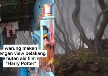 Viral, Warung di Gunung Tangkuban Perahu Miliki Pemandangan Belakang Bak Hutan di Film Harry Potter: Voldemort Pernah Ngopi di Sini