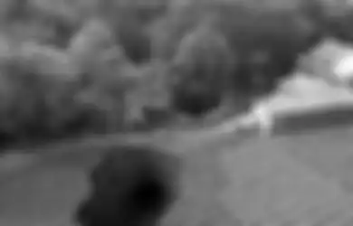 Dengar Suara Gemuruh, Warga Sukabumi Dikagetkan dengan Kemunculan Lubang Raksasa Misterius di Tengah Sawah