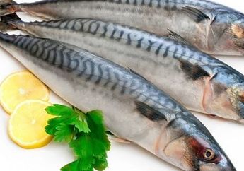Nyesel Selama Ini Rogoh Kocek dalam Buat Beli Salmon! Ikan Ini Ternyata Punya Kandungan Omega 3 Lebih Tinggi, Namun Ramah di Kantong