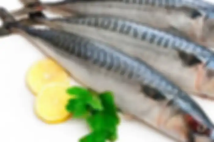 Ikan kembung 