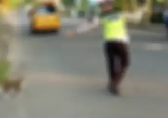 Video Ini Buktikan Kalau Polisi Itu Juga Manusia, Sukarela Seberangkan Kucing Lucu