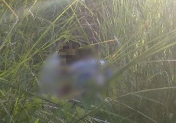 Istri Pilih Berhubungan Seks dengan Kakek-kakek di Ladang Tebu, Suami Syok Aksi Tak Senonoh Pasangannya Direkam Tetangga