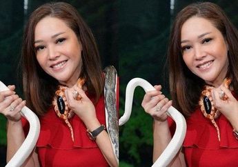 Cocok Jadi Pawang? Maia Estianty Bikin Syok Gegara Berani Pegang hingga Melantukan Musik Tarian Ular, Irfan Hakim: Kebanyakan Nonton Film India Bunda Nih