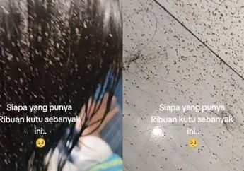 Bikin Bergidik Ngeri, Viral Video Bocah Asal Trenggalek Ini Gegara Ada Ribuan Kutu yang Keluar dari Rambutnya: Sak Buyut-buyutnya