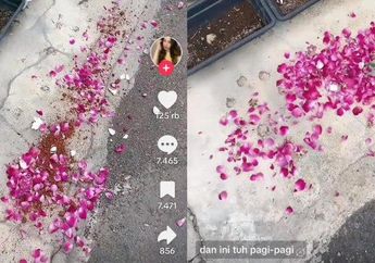 Viral, Wanita Ini Ngaku Diteror dengan Bunga dan Tanah dari Kuburan di Depan Rumah: Tadi Malam Ada Suara Ledakan 3 Kali!