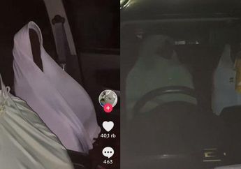 Viral, Nenek di Jakarta Nekat Buat Ide Iseng Ini Buat Bikin Maling Tak Bisa Curi Mobilnya, sang Cucu: Serem Banget dari Luar