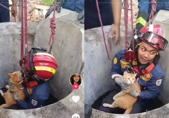 Viral Video, Aksi Dramatis Petugas Damkar yang Rela Terjun ke dalam Sumur Demi Selamatkan Kucing Oren yang Kecebur, Netizen Malah Salfok ke Ini