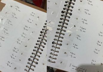 Nyeleneh Abis, Adik Ini Bongkar Rahasia sang Kakak yang Punya Hobi Koleksi Ratusan Bangkai Nyamuk: Nangkep Terus Dinamain