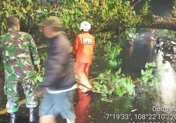 Tertimpa Pohon Tumbang di Ciamis, Pemuda Ini Alami Muntah-muntah hingga Penurunan Kesadaran, Begini Akhirnya