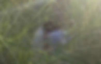 Pangku-pangkuan dengan Pakaian Melorot, Mama Muda Nekat Selingkuh di Area Sawah, Endingnya Bikin Syok
