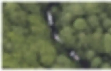 Ditemukan di Hutan dalam Kondisi Mengenaskan, Bintang Film Dewasa Jepang Ini Diduga Meninggal Dunia karena Dicekik