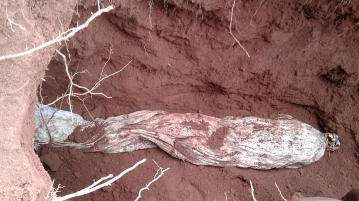 penemuan jenazah Mak Erot saat pemindahan makam tahun 2016