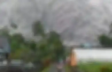Pantas Seluruh Dunia Ketakutan Lihat Gunung Semeru Erupsi, Rupanya Skala Letusan Gunung Api di Indonesia Maha Dahsyat, Bisa Membuat Seisi Bumi 'Gelap' Selama Berhari-hari 