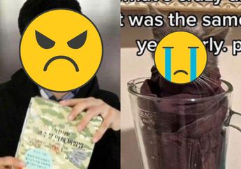 KEJAM! Blender Kucing Hidup-Hidup Demi Hal Sepele, Pria Ini Kini Kena Akibatnya, Gak Cuma Dihujat Satu Negara tapi Alami Nasib Memilukan