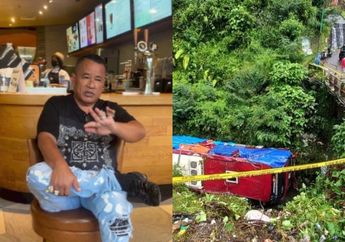 The Power of Hotman Paris! Usai Berhasil Bebaskan Romyani Kini Ia Perlihatkan Chat Anak Sopir Bus Maut di Guci, Begini Isinya