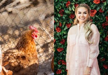 Nikita Mirzani Baca Berita Soal Pria Pemerkosa 300 Ayam, Nyai Sampai Tak Bisa Berkata-kata hingga Bikin Sayembara Ini