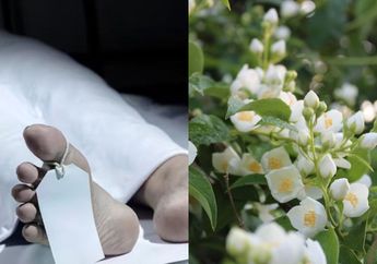 Autopsi Mayat Korban Ketabrak Kereta, Dokter Ini Merinding Saat Cium Aroma Semerbak Bunga Melati dari Jasad: Ini Orang Baik, Harum