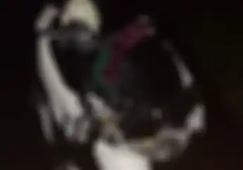 Warga Klaten Heboh, Pohon Tumbang  Hancurkan Honda PCX 150, Begini Kondisi Korban