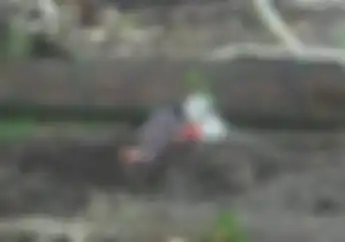 Ibu yang Tidur di Makam Putrinya Akibat Korban Tabrak Lari Bikin Geger, Komentarnya Bikin Merinding