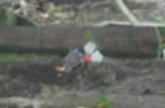 Musaanah nekat tidur di atas makam putrinya