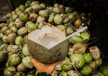 Satu Indonesia Wajib Tahu! Minum Air Kelapa di Waktu Malam Hari Ternyata Punya 5 Manfaat Menakjubkan Ini, Apa Itu?
