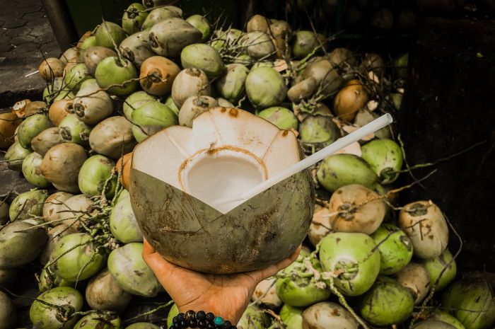 Ilustrasi air kelapa