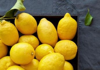 Tak Ada Salahnya Potong Lemon Jadi 4 Bagian Lalu Isi dengan Garam, Letakkan di Dapur dan Lihat Hasilnya!