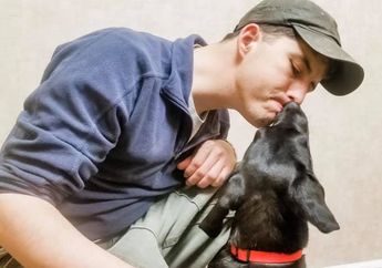 'Tidak Membutuhkan Kata-kata untuk Saling Memahami,' Kisah Haru Pria Tunarungu dan Anak Anjing Tuli yang Saling Jatuh Cinta di Pandangan Pertama