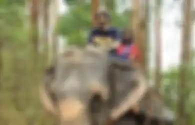Terlilit Utang, Bule ini 'Kabur' dari Amerika ke Desa Terpencil di India